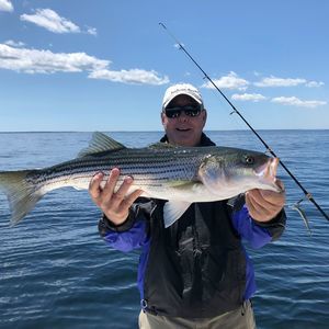 Meet your Posher, Dennis